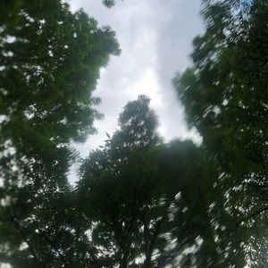 Meet your Posher, Lei